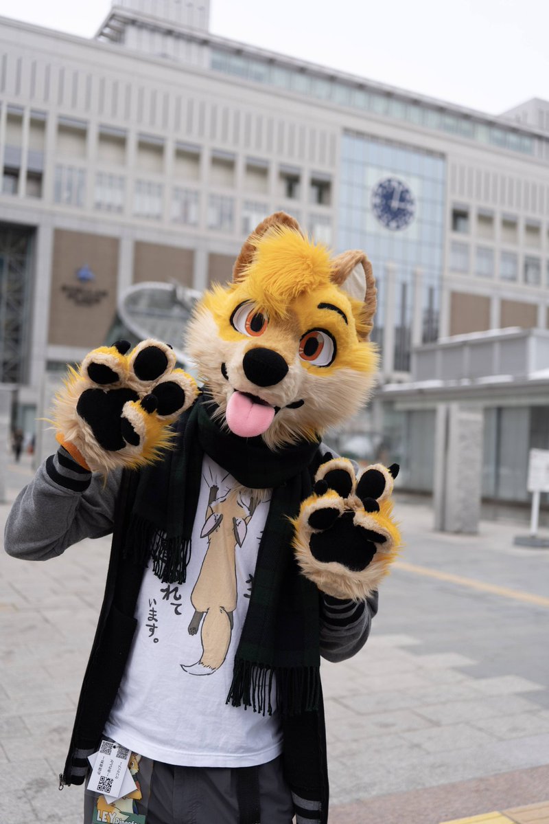 Ley DingoFox tweet media