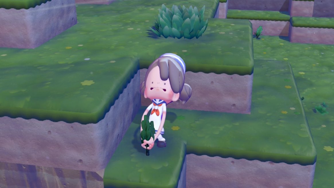 ᴍɪʏᴀ .｡.🐰🌸 tweet media