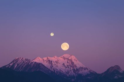 meredith tweet media