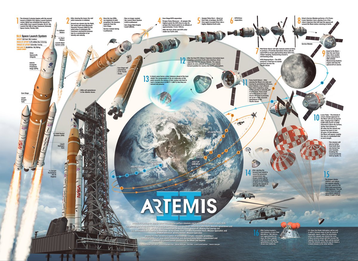 Tony Bela - InfographicTony tweet media