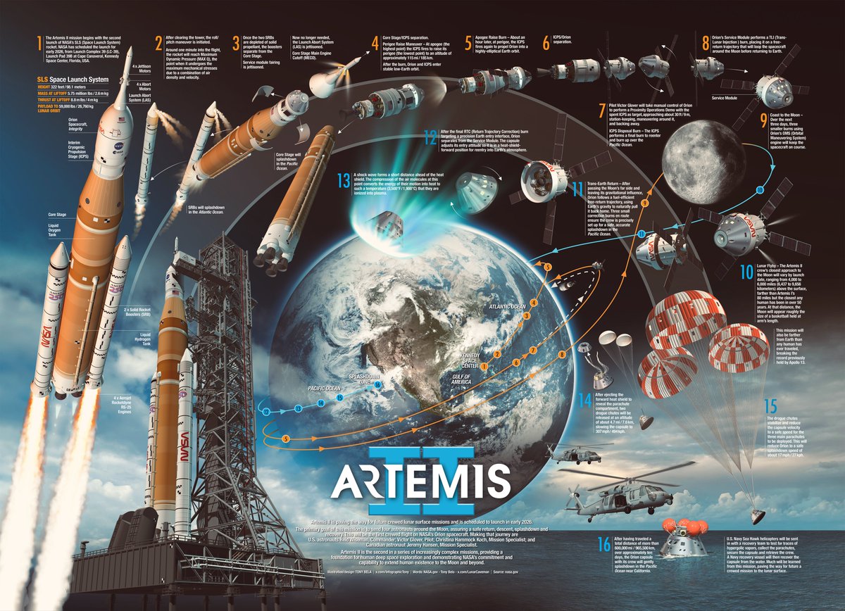 Tony Bela - InfographicTony tweet media