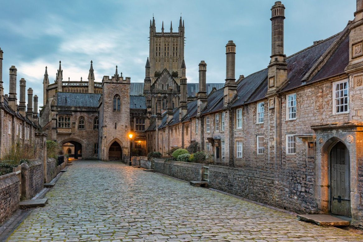 Bobby Fijan tweet media