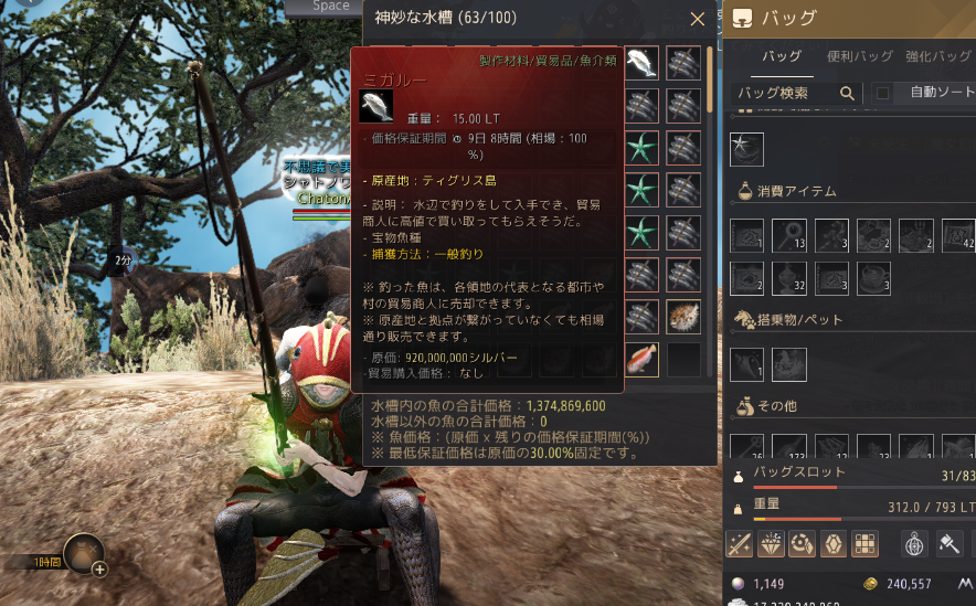 シャトノワール🐾Chaton🐈⬛ tweet media