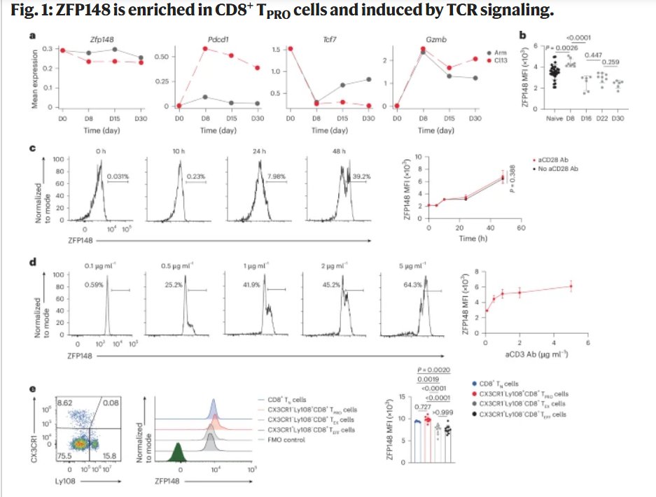 Pelotonia Institute for Immuno-Oncology tweet media