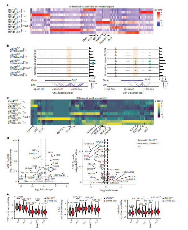 Pelotonia Institute for Immuno-Oncology tweet media