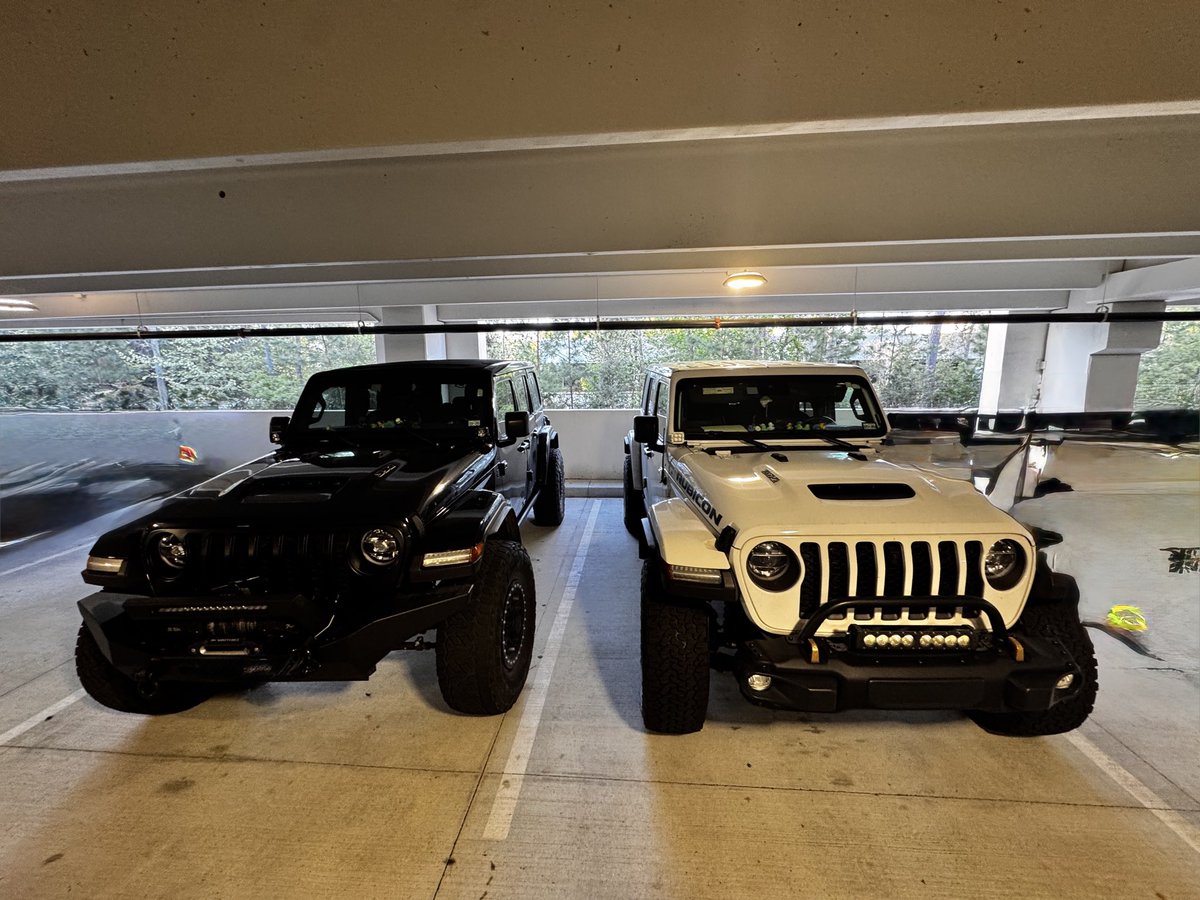 PixelRainbow (33.3%) tweet media