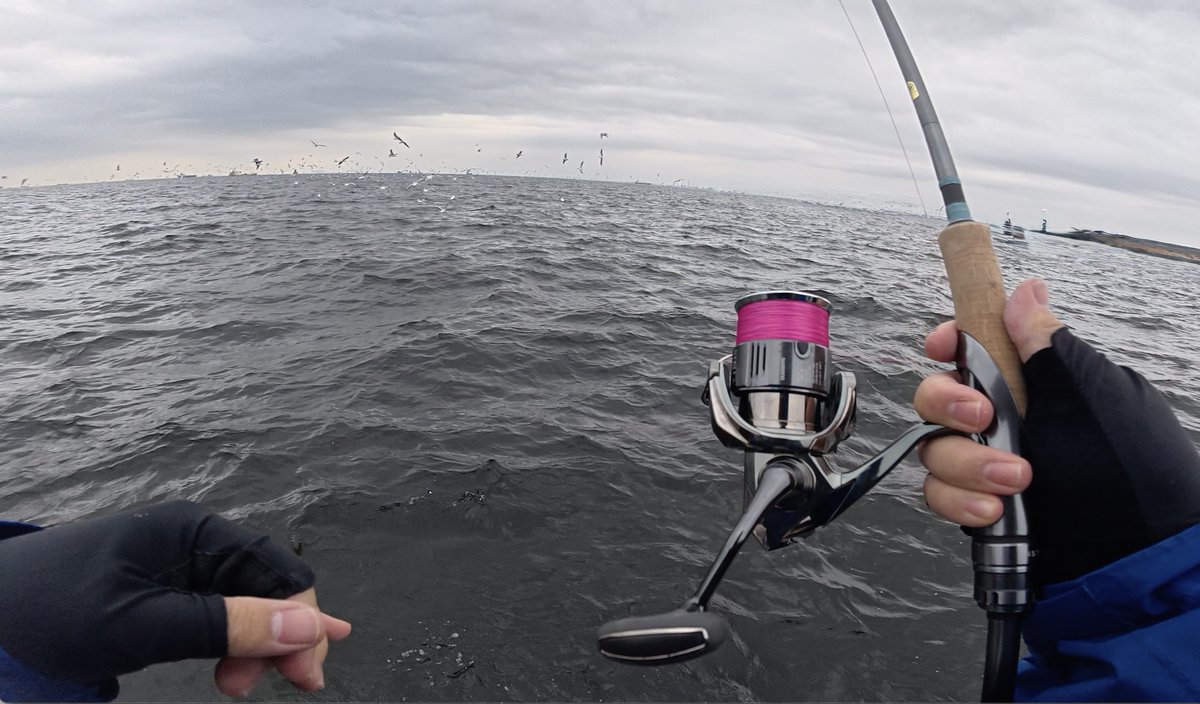 ゆー🎣YUUU FISHING tweet media