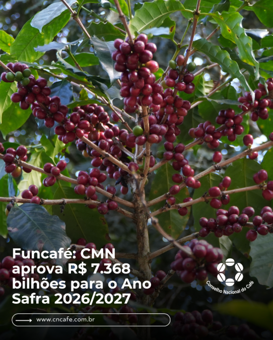 Conselho Nacional do Café - CNC tweet media