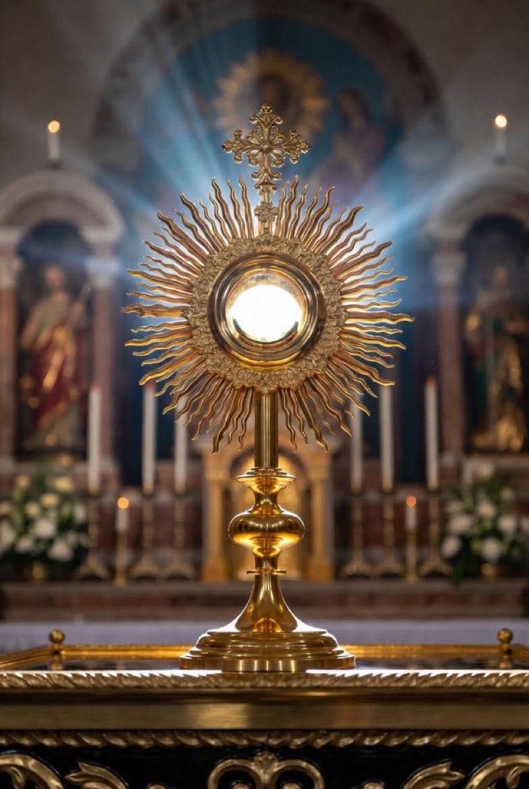 ingenieria sn tweet media