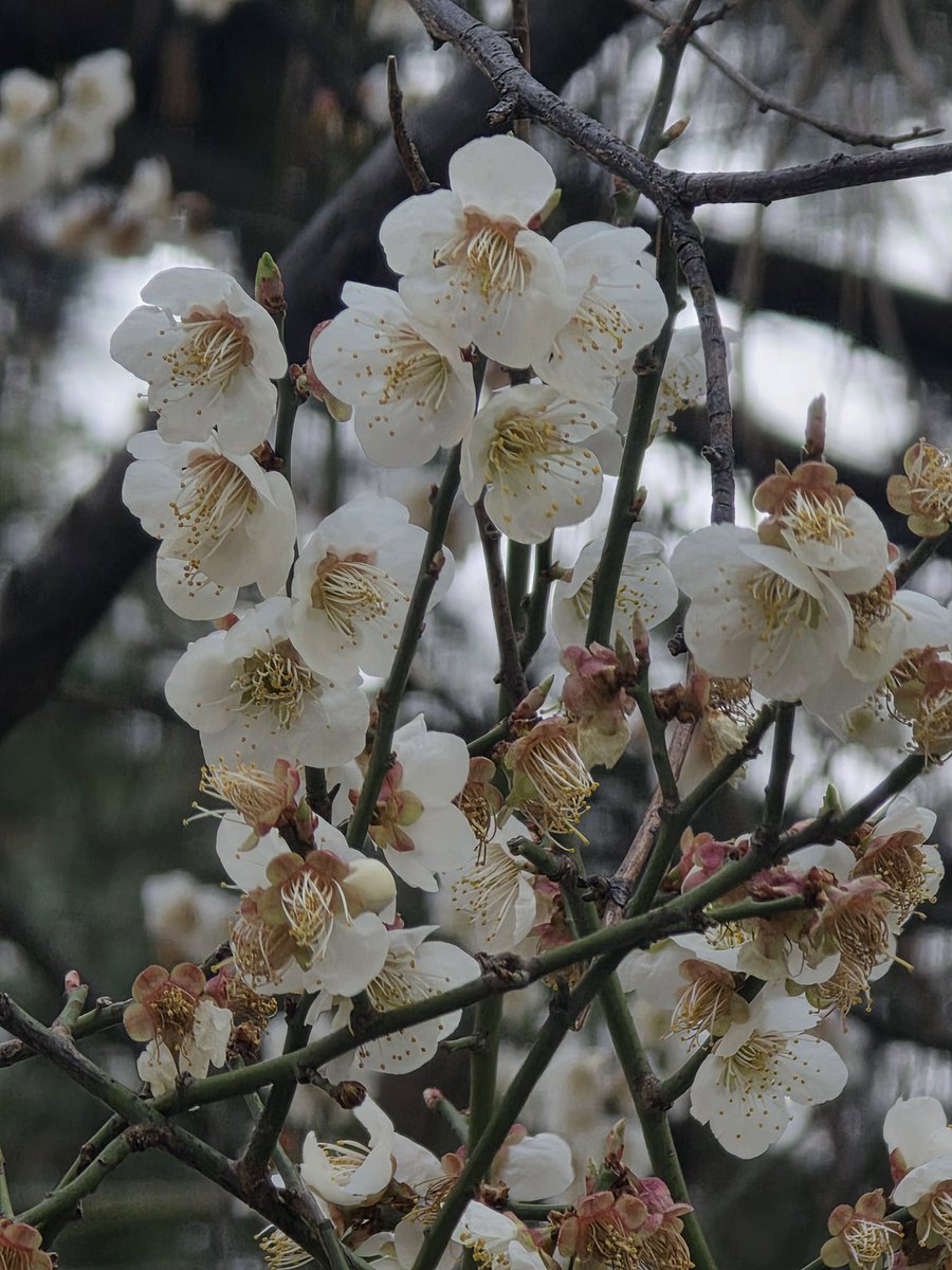 YOON SAN-HA OFFICIAL tweet media