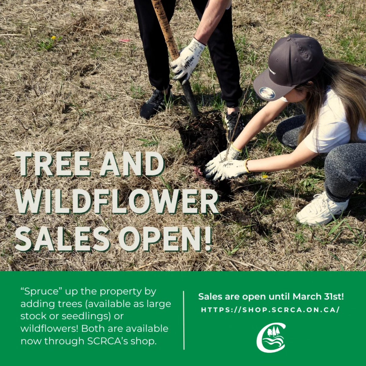 St Clair Conservation tweet media