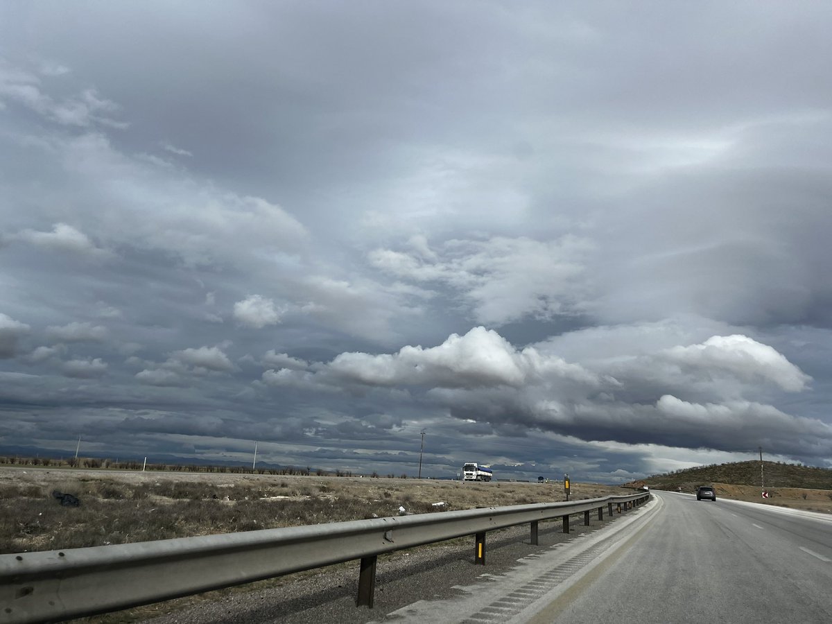 medisa🌙 tweet media