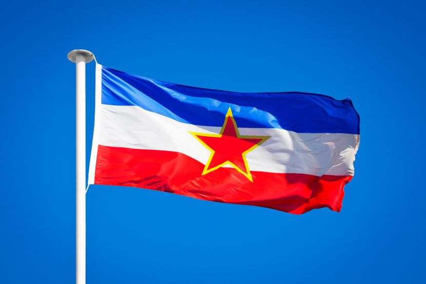 Marina Vajagic tweet media