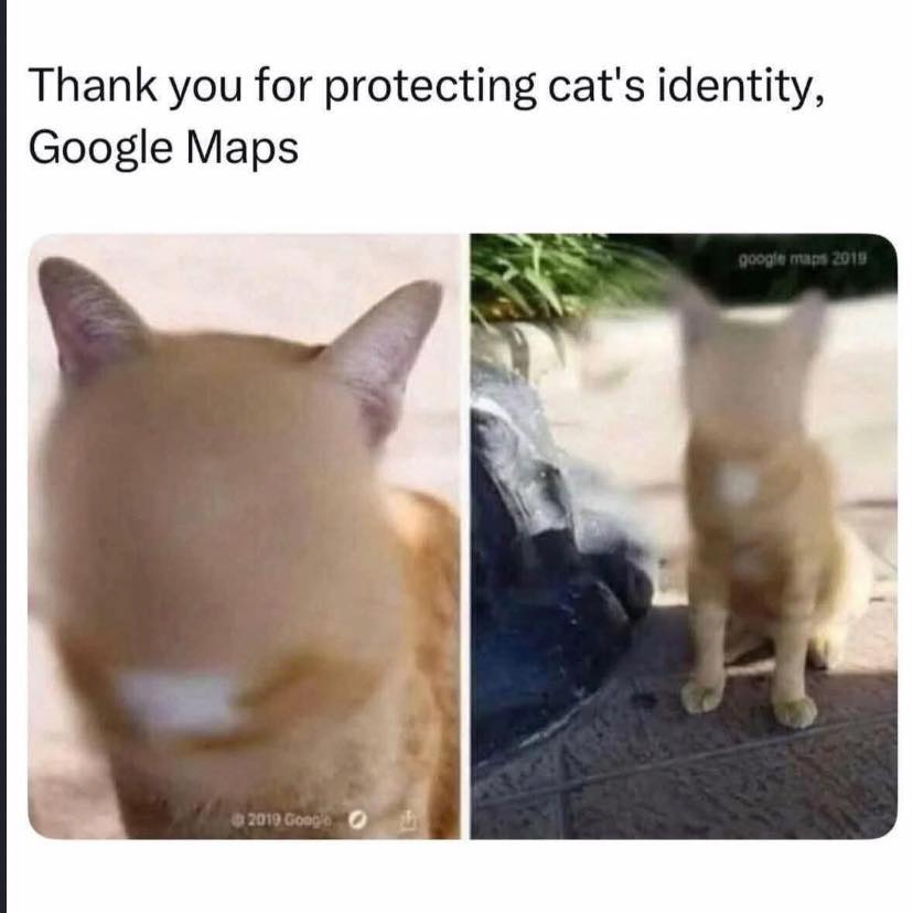 Fun Poses tweet media