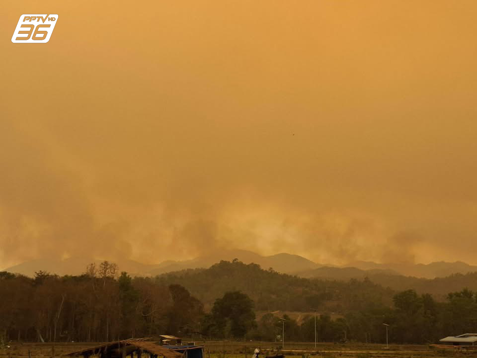 PPTVHD36's tweet image. วิกฤตฝุ่นเชียงใหม่! “ฮอด-อมก๋อย” ฝุ่นปกคลุมหนักจนท้องฟ้าเปลี่ยนสีส้ม ชาวบ้านแสบตา-แสบจมูก วอนรัฐเหลียวแล พบจุดความร้อนพุ่งสูง 284 จุด

อ่านต่อ : pptv36.news/1RnP?FCL

#เชียงใหม่ #PM #ฝุ่นPM #ฝุ่น #ฝุ่นละออง #มลพิษทางอากาศ #ฝุ่นสีส้ม #ฟ้าสีส้ม #เรื่องข่าวเรื่องใหญ่ #PPTVHD36