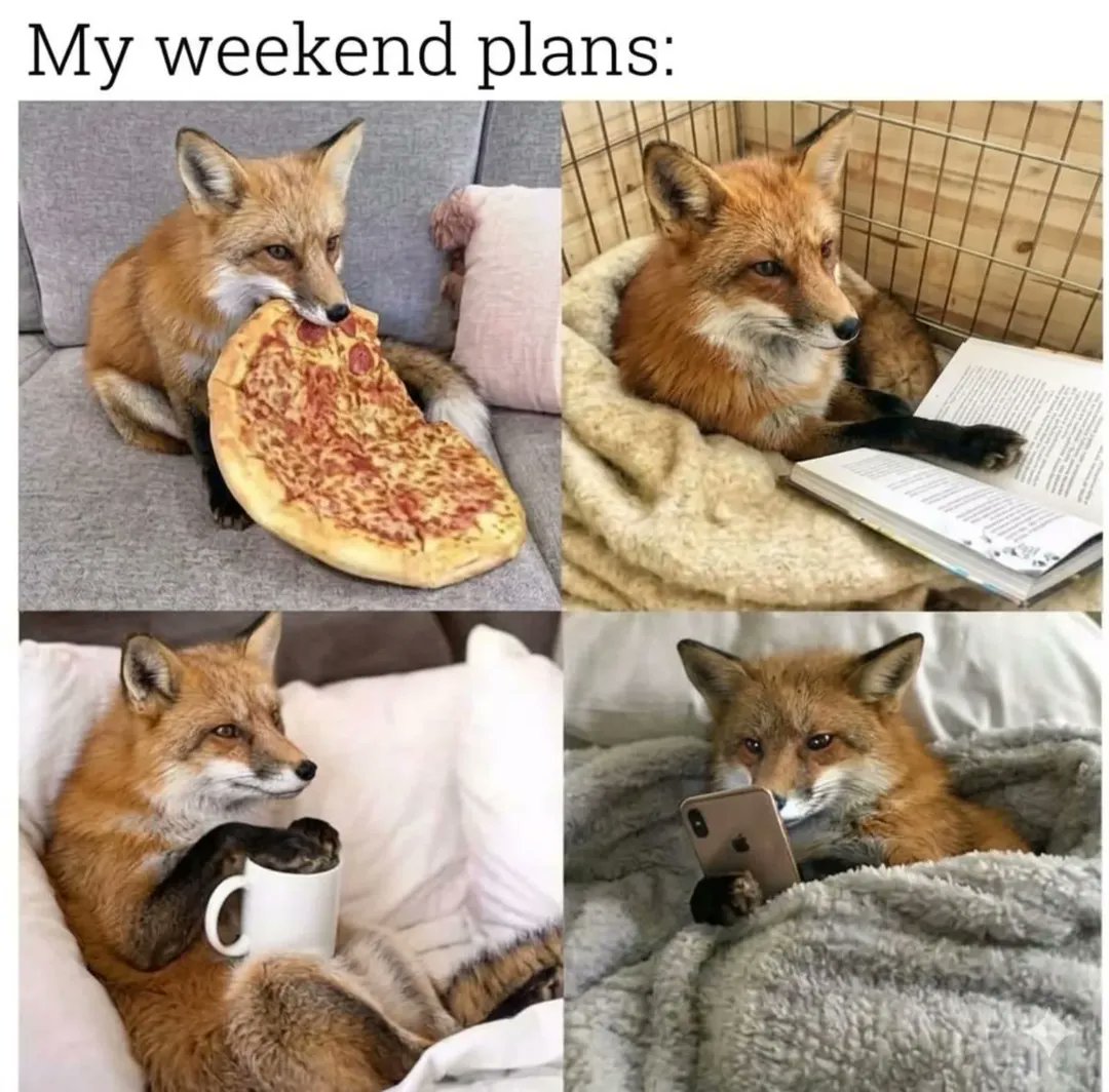 💙 Ryland the Dox 💙 🔜 FWA, AC tweet media