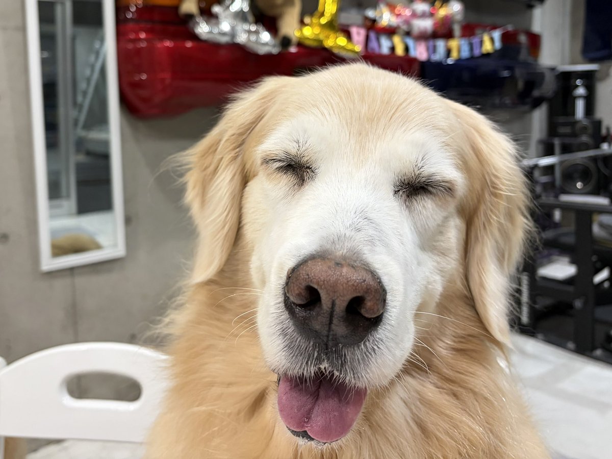 シルビア&180SX tweet media