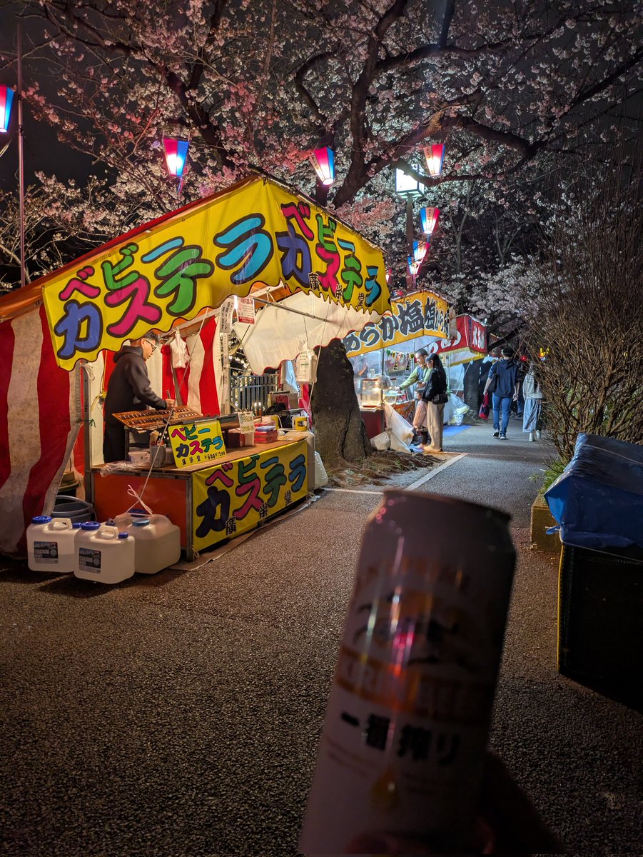 マダオ。 tweet media