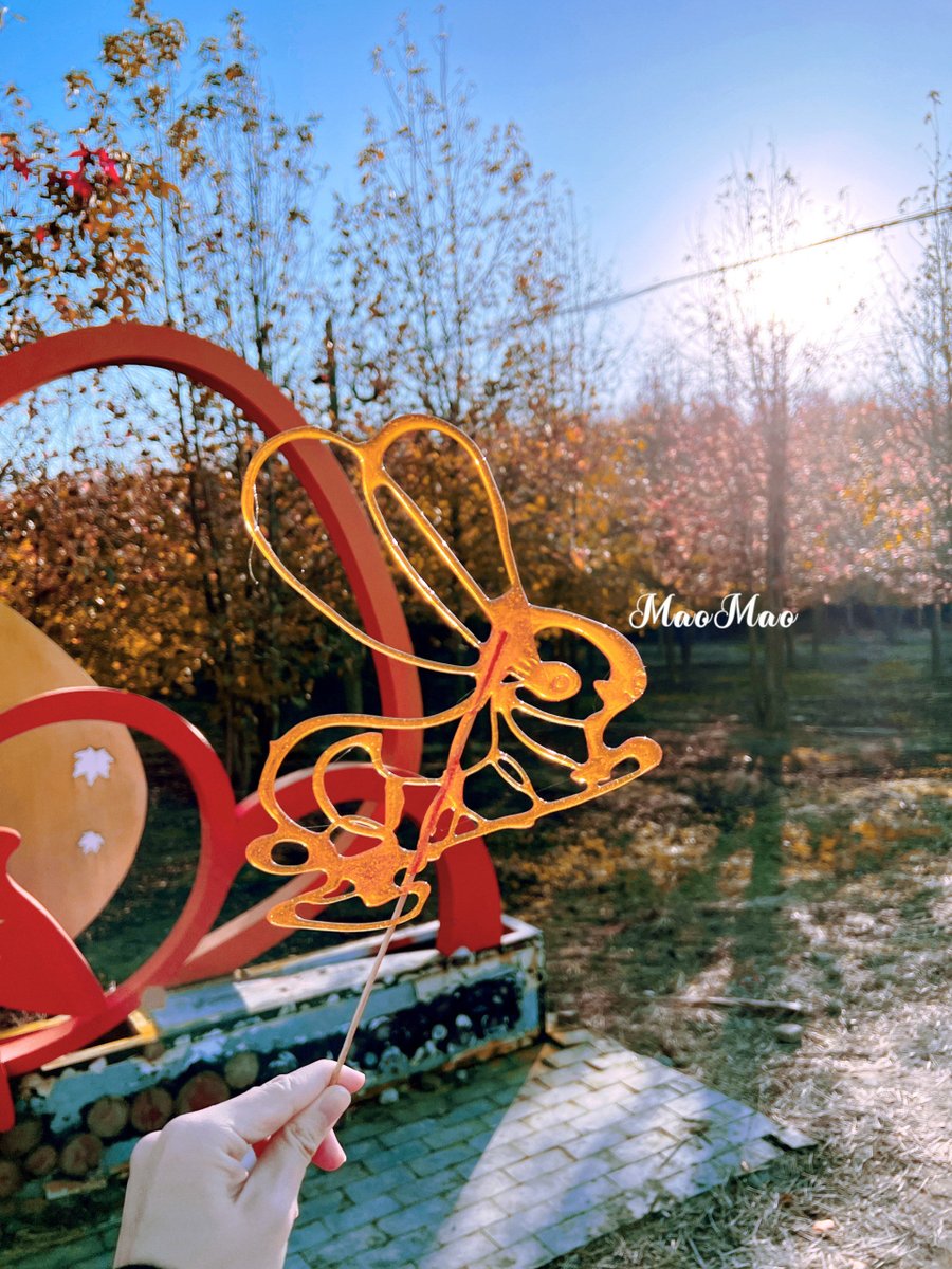 Alice Crosby tweet media