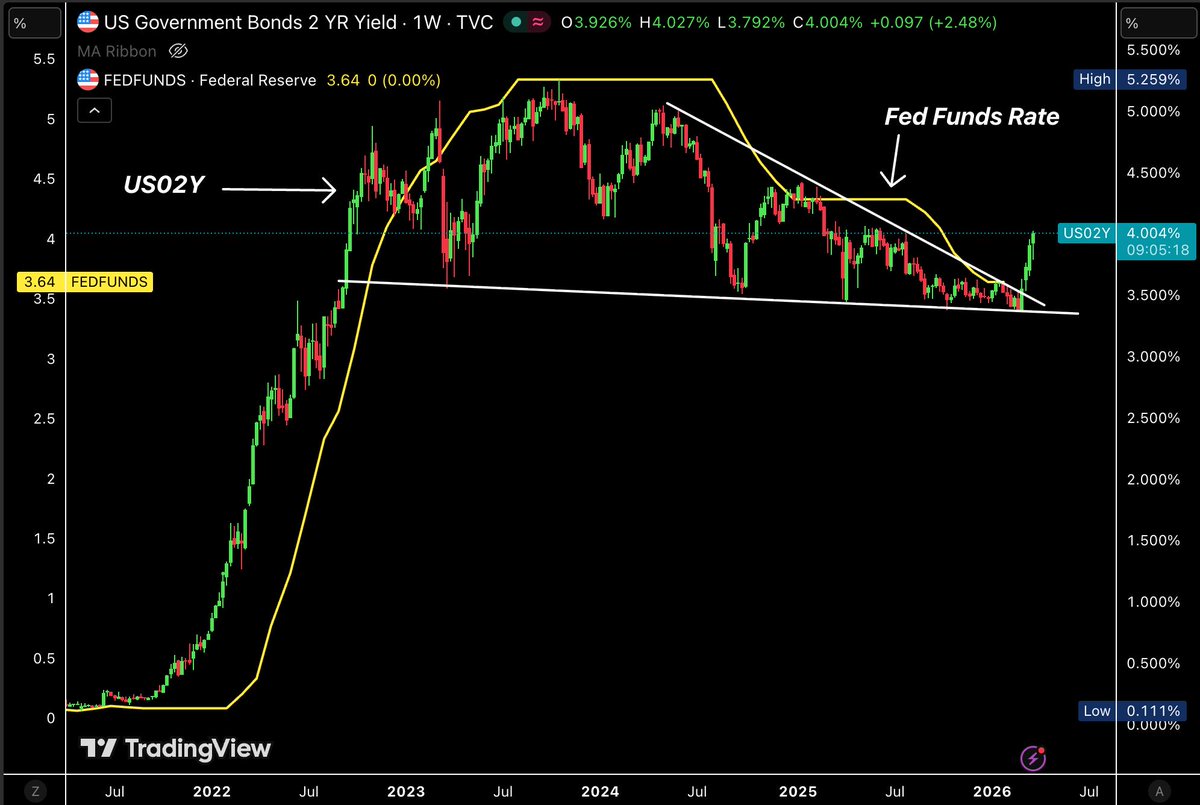 Bull Theory tweet media