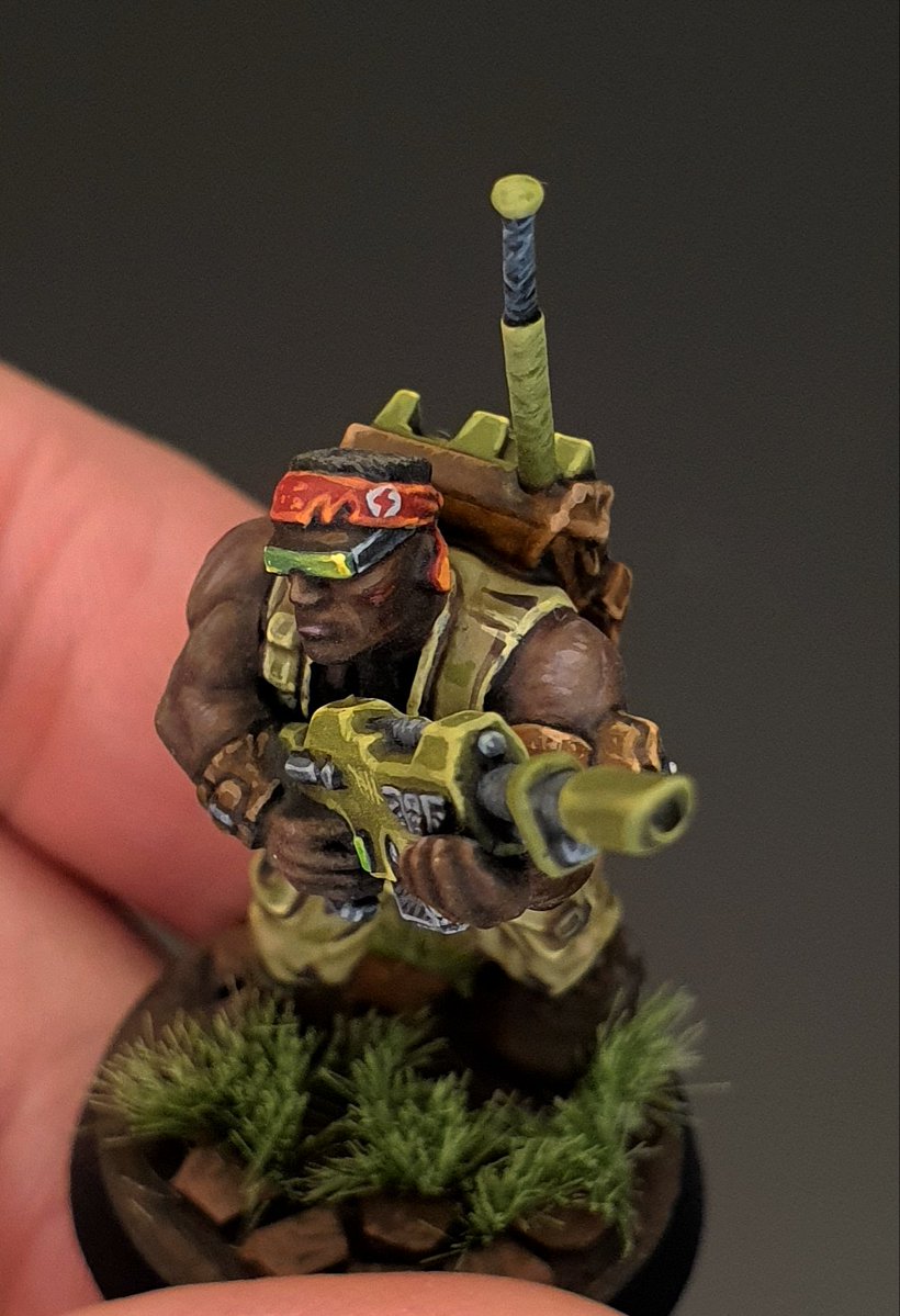 Hedgebrush tweet media