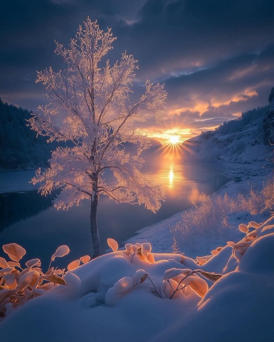 THE MAN WHO DARES tweet media