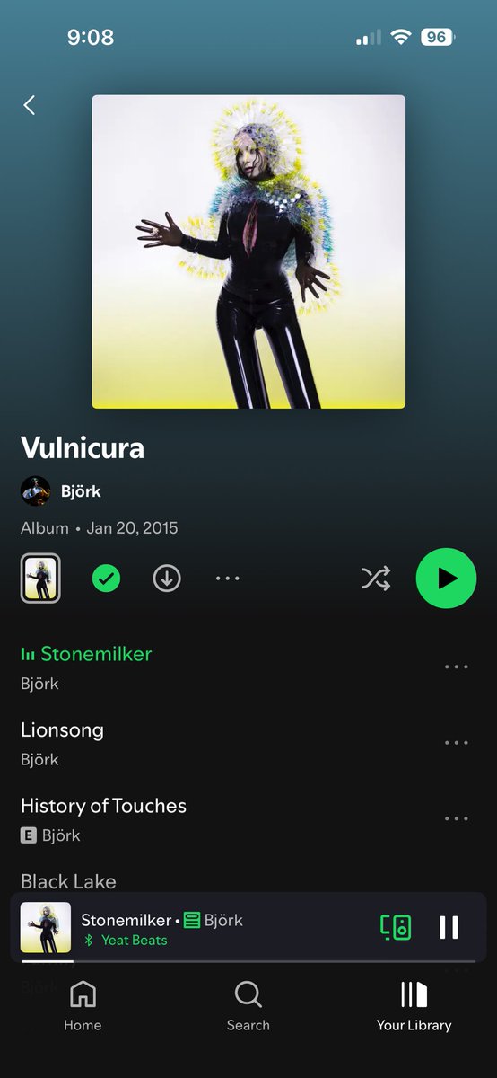 Pandoraaaa tweet media