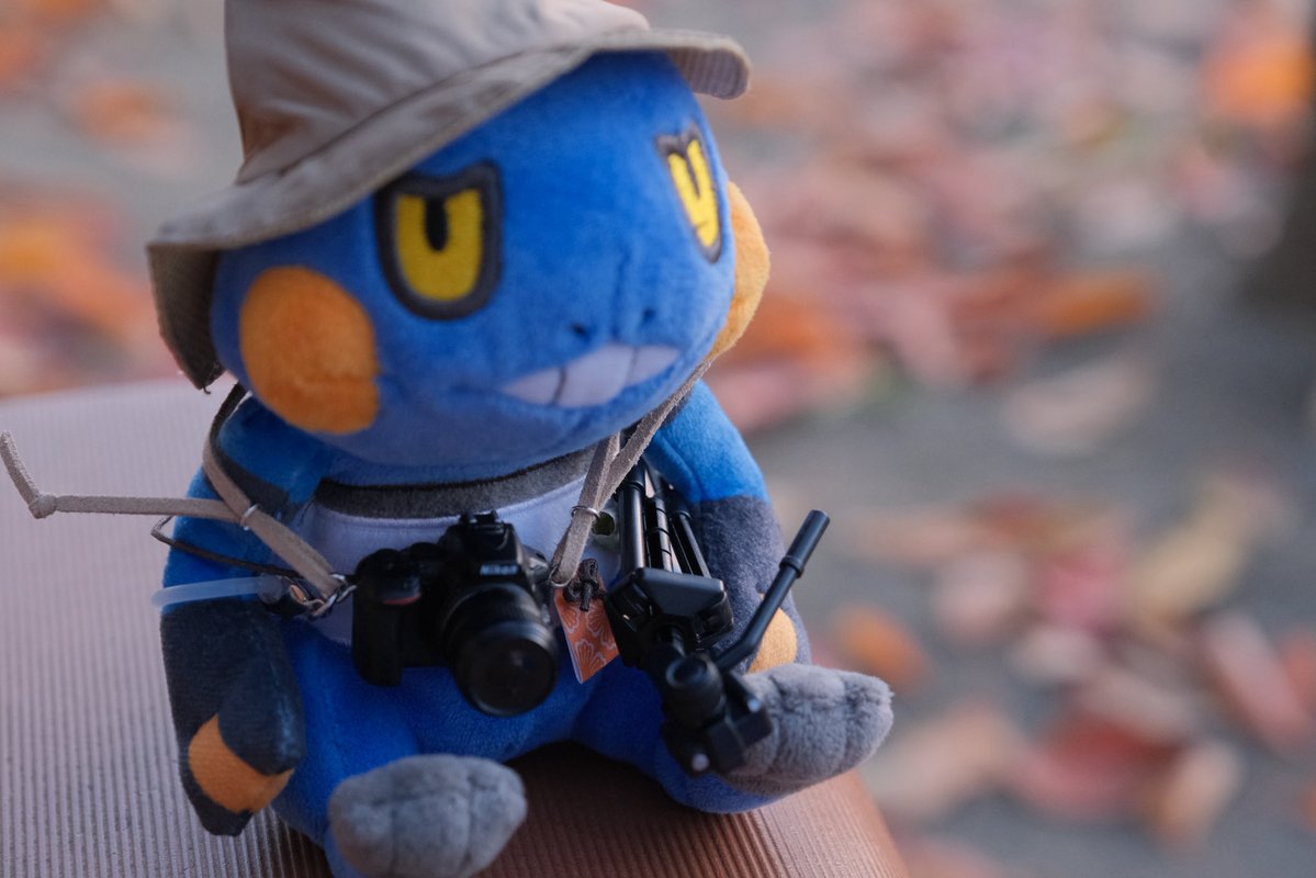 カオルぴ📷 pokephotographer tweet media