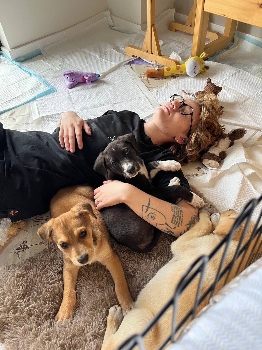 hellfire jr tweet media