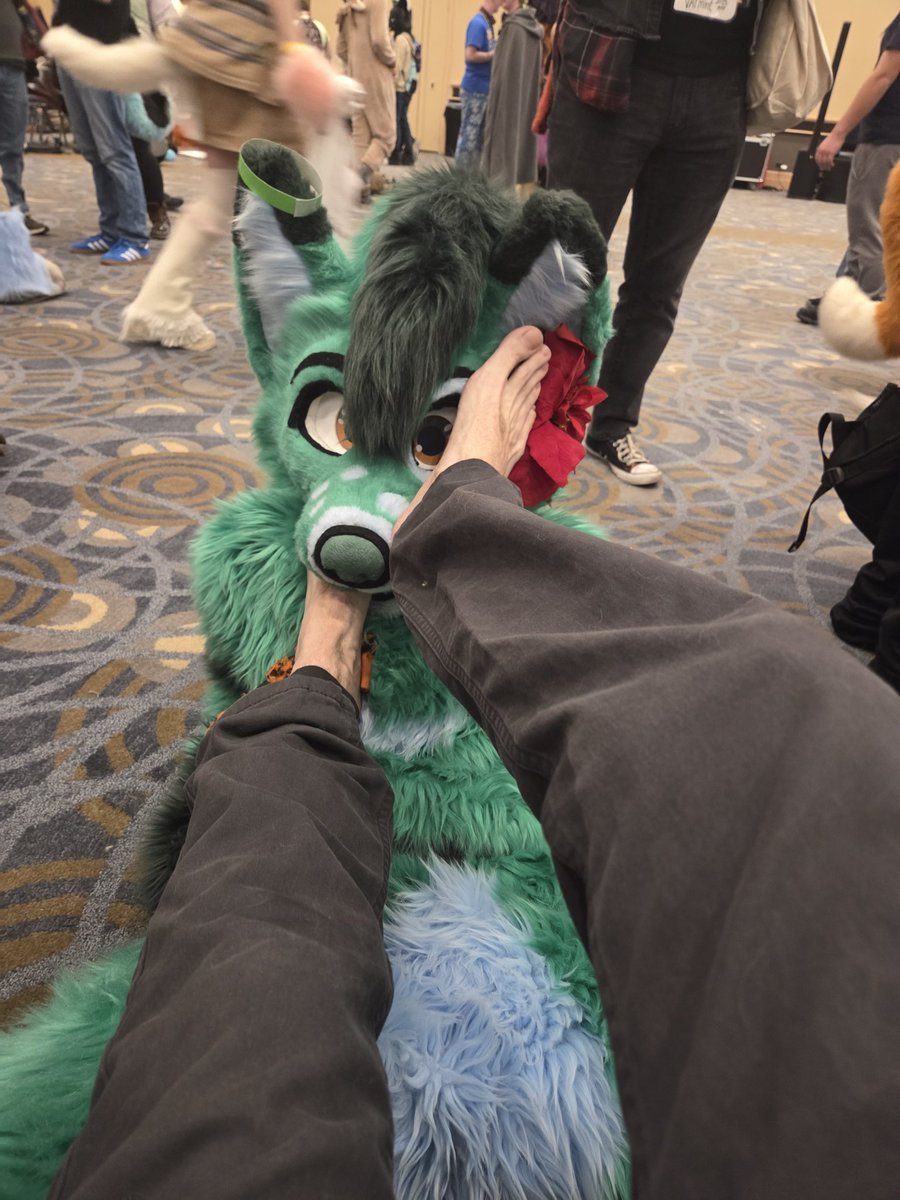 💚🐾Duke Doggo🐾💚 tweet media