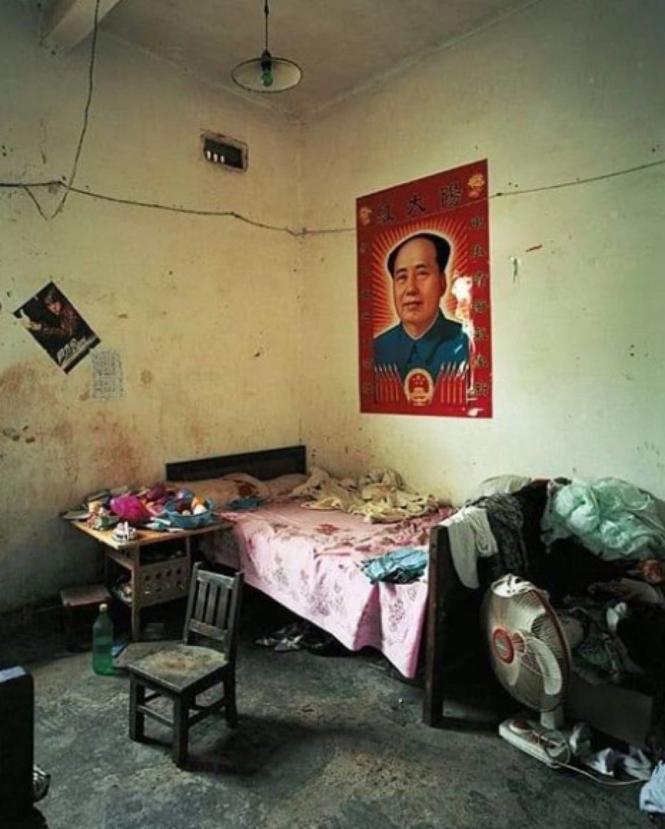 pedroxis tweet media