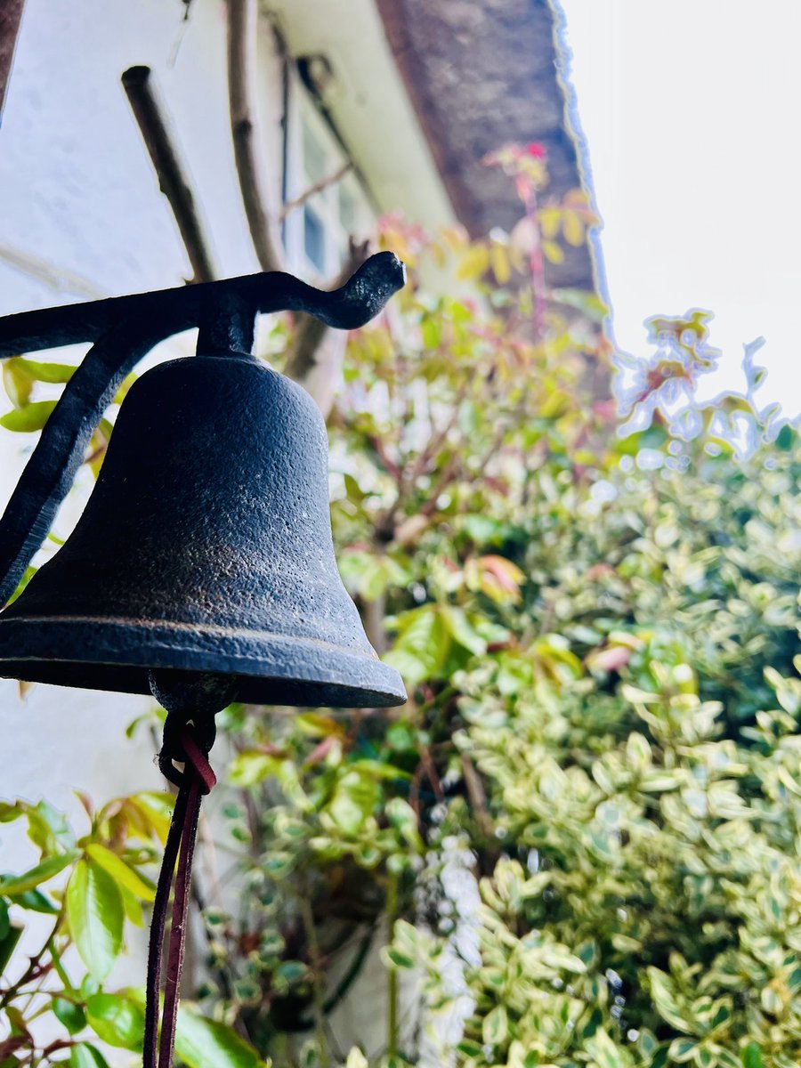 Jon Needham tweet media