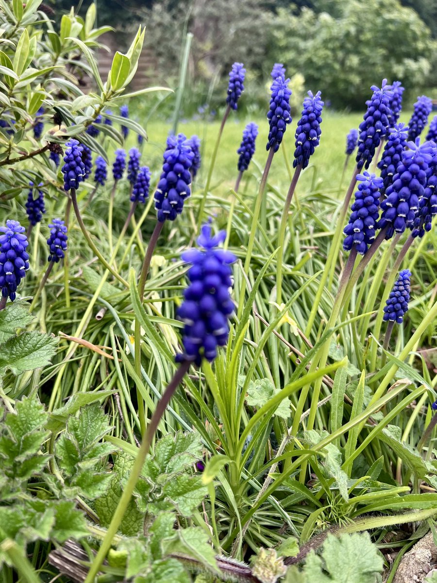 Jon Needham tweet media