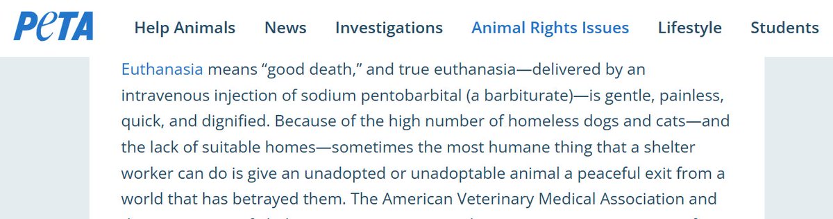 İTPEREST tweet media