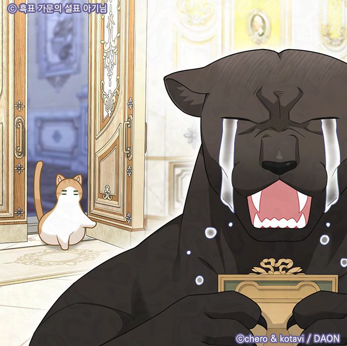 코타비 tweet media