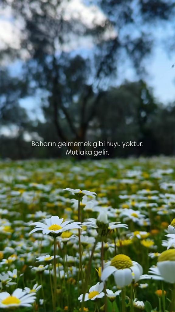 Baharım gelmiş... 🌼