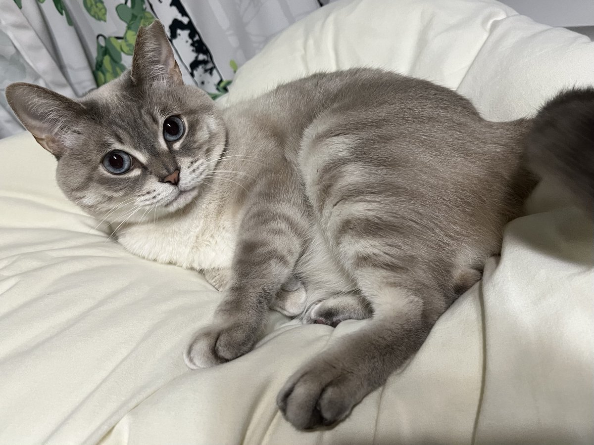 うるりちゃん tweet media