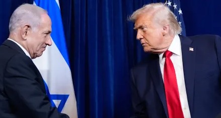 El Post Antillano tweet media