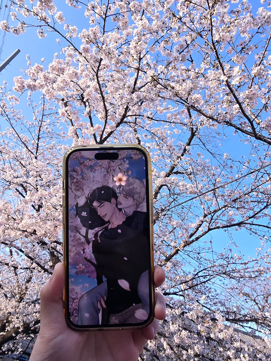 애쉬 🐾 tweet media