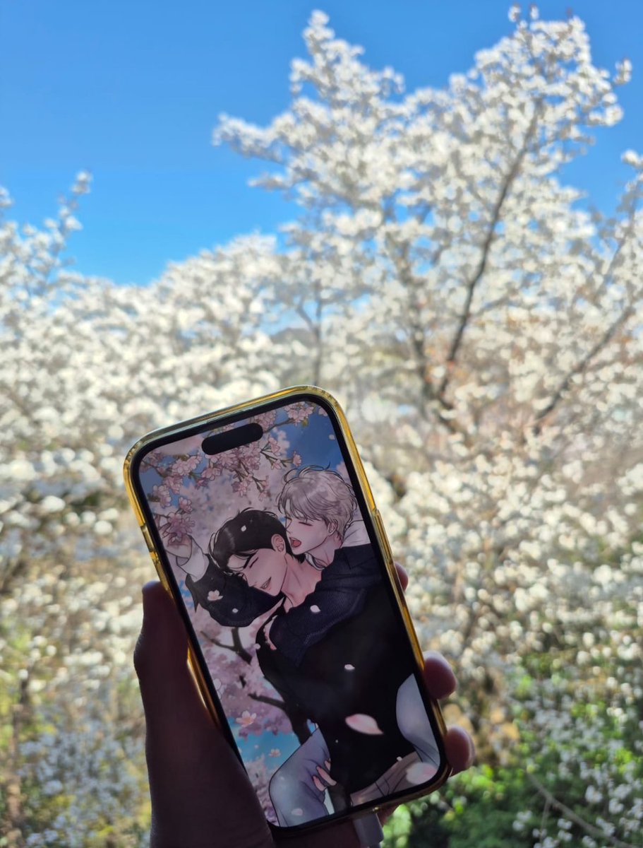 애쉬 🐾 tweet media