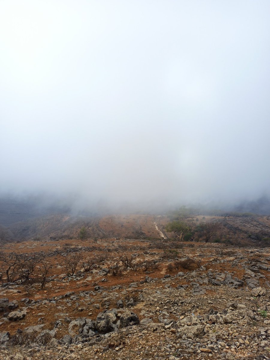 مـَــــروى 🌸 tweet media