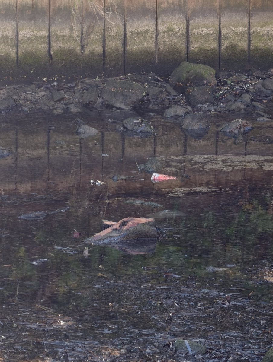 piapiapiax78's tweet image. Jospin : Incarnation de la gauche rassemblée 

Payan : incarnation de la gauche clientéliste Marseillaise sans identité, sans programme, parasite d'argent public, pour une ville-porcherie digne du tiers monde.

#macron20h
#cmacgm #saade #municipalesàparis
#municipales2026