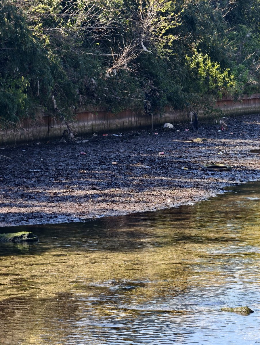 piapiapiax78's tweet image. Jospin : Incarnation de la gauche rassemblée 

Payan : incarnation de la gauche clientéliste Marseillaise sans identité, sans programme, parasite d'argent public, pour une ville-porcherie digne du tiers monde.

#macron20h
#cmacgm #saade #municipalesàparis
#municipales2026