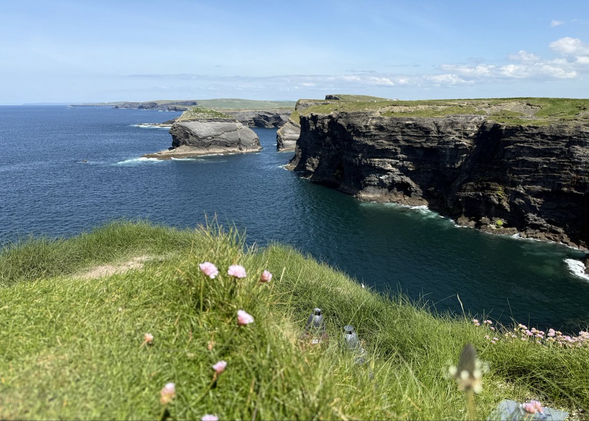 Susann✈️🌏 tweet media