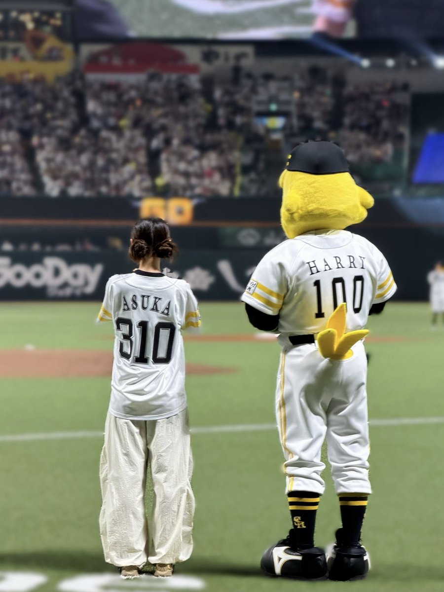 齋藤飛鳥STAFF tweet media