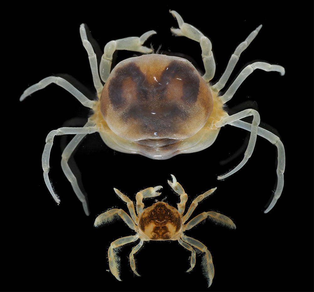 Keiichi Kakui tweet media