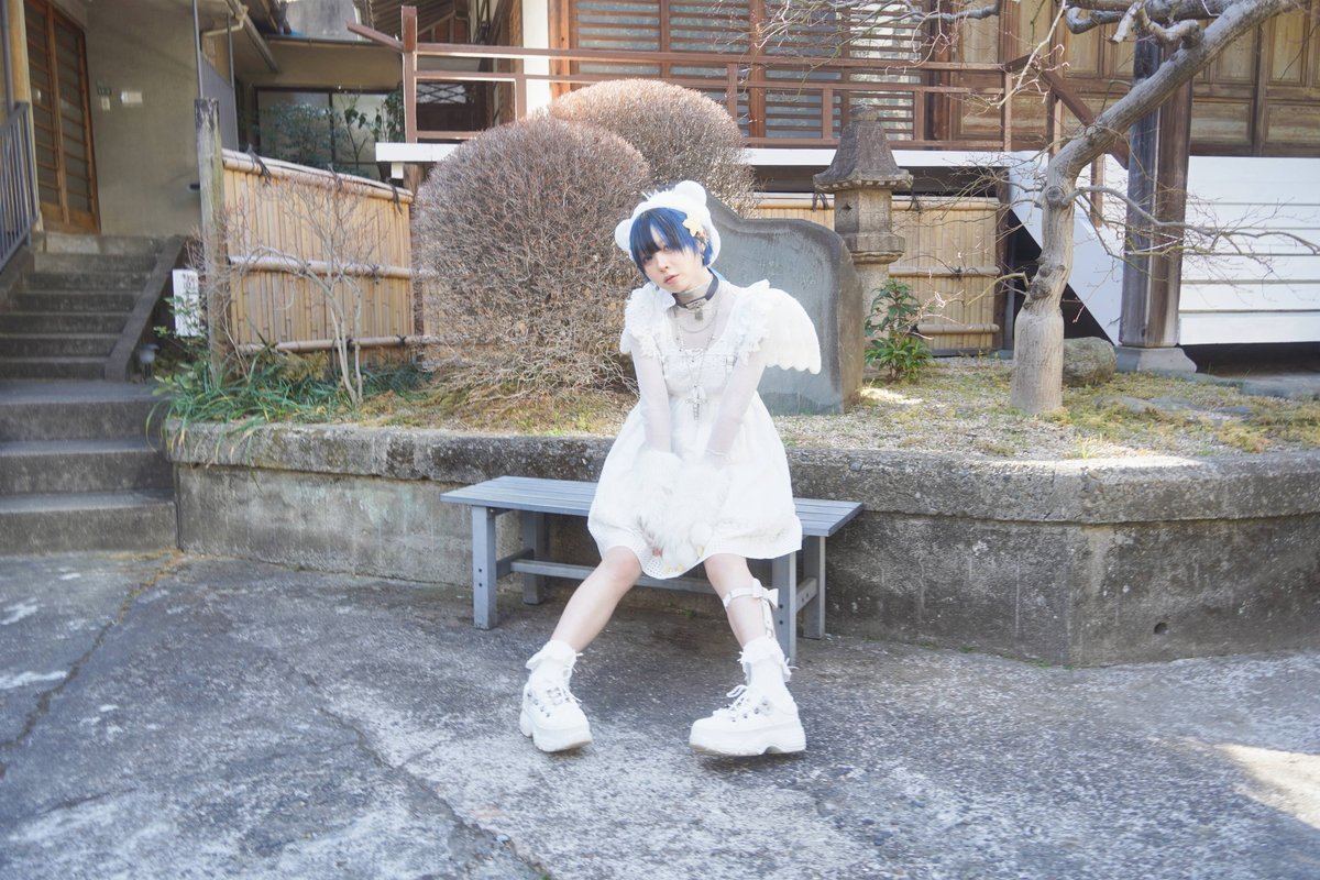 ダーク tweet media