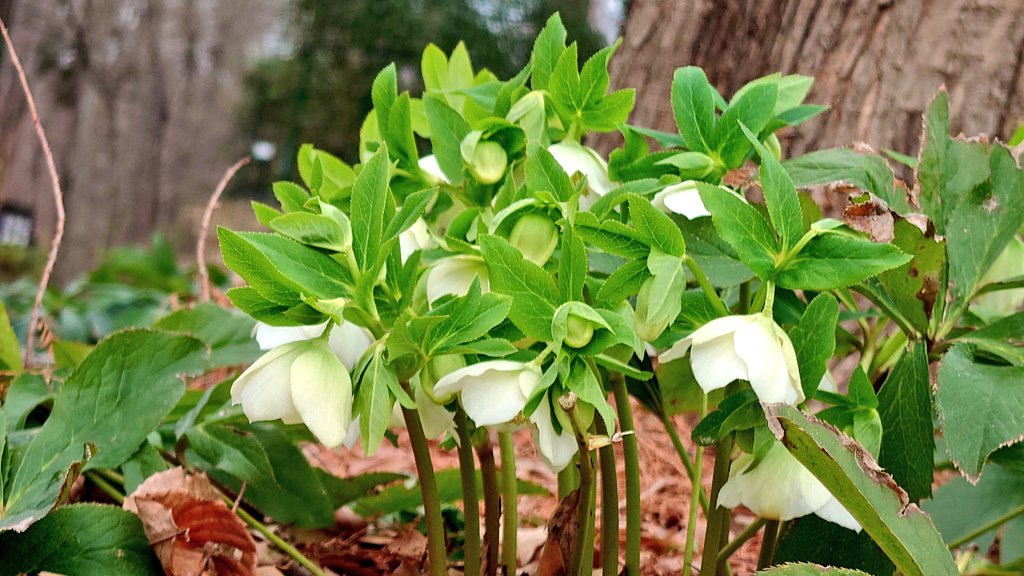 はっちゃん@045//産直ライダー🤣 tweet media