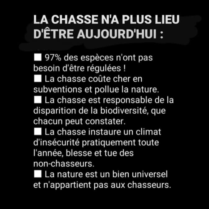 Adea Claude tweet media