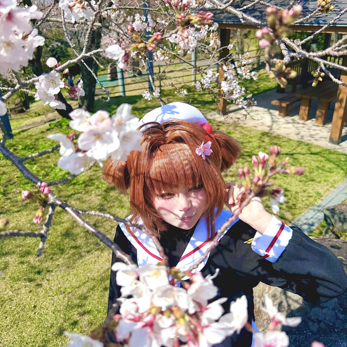 ‎🦭 ルア 🦭【南3ホールぬ 13a】 tweet media